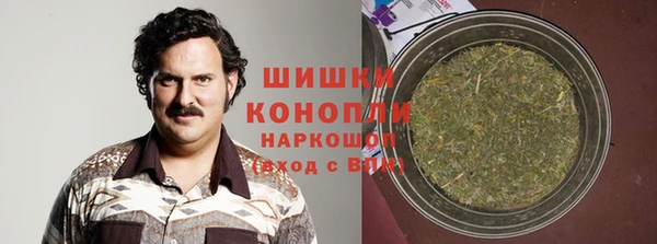 бошки Лагань
