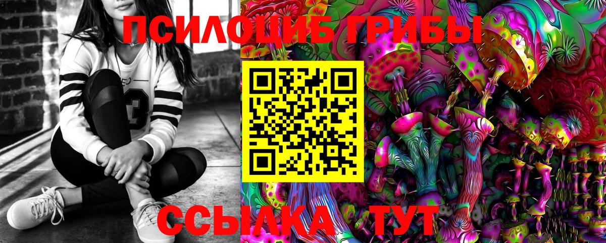 Галлюциногенные грибы Magic Shrooms  Брянск  Галлюциногенные грибы Psilocybine cubensis 